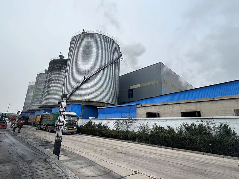 Graphitized Petroleum Coke Graphitized Petroleum Coke